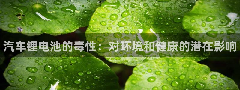 优发国际的官网是正品吗