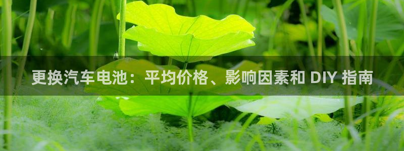 优发国际官方网手机版下载安卓：更换汽车电池：平均价格、影响因素和 DIY 指南