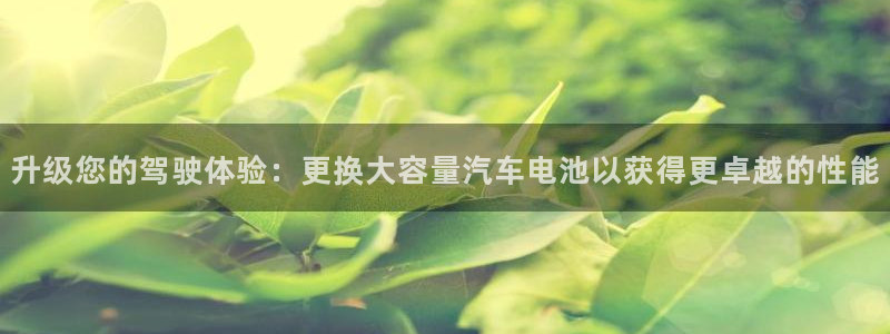 优发国际手机app下载安装最新版