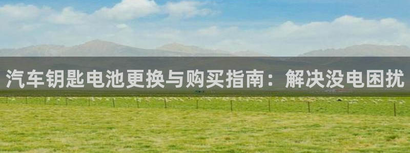 优发国际网页：汽车钥匙电池更换与购买指南：解决没电困扰