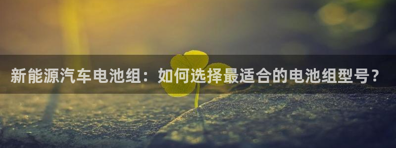 优发国际集团股份有限公司官网：新能源汽车电池组：如何选择最适合的电池组型号？